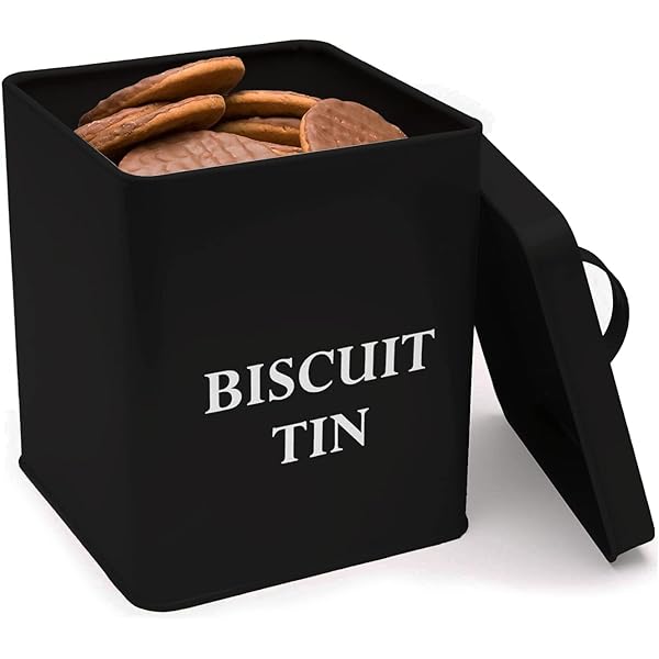 Biscuit Tin 25X12Cm With Leather Lable And Hadle 26571