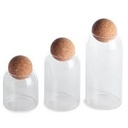 Cannister 26Cm Borisilicate Glass With Cork Ball Lid 27155