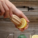 Citrus Squeezer 16x4x4cm Wooden Regent 30946