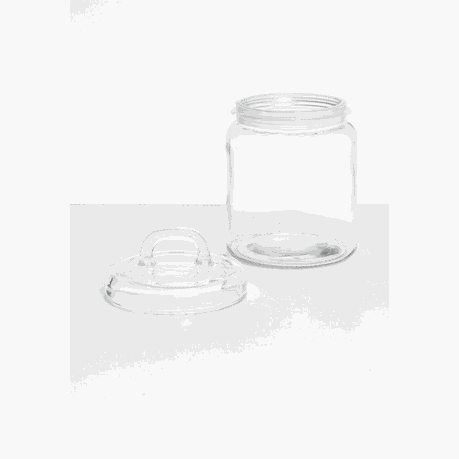 JAR W/LID 1.6LT 23.5X12CM GLASS CONCEPT 27574