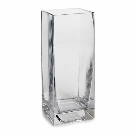 Glass Vase 24x8x8cm Clear Heavy VAS825-3