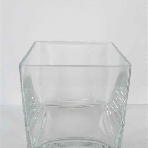 Glass Vase 24.5x9.5x9.5cm Clear Heavy VAS1025-3