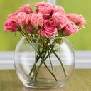 Bubble Ball 35x25cm Clear Glass VAS35Q