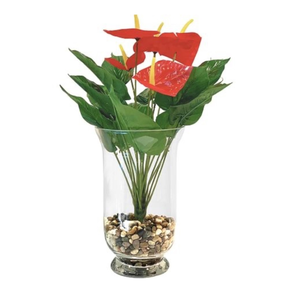 Glass Vase 25X14.5 Hurricane Vase Clear VAS830-1