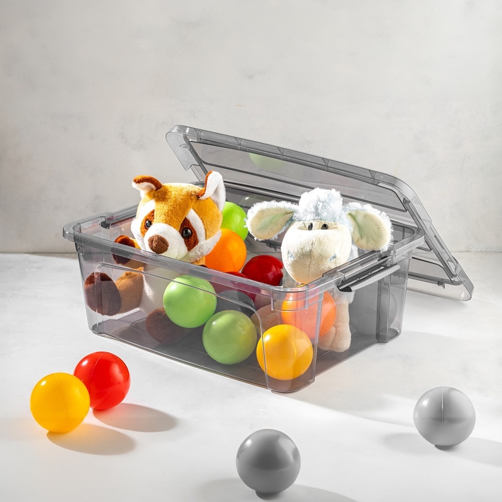 Storage Box 40x30x15cm Rectangular with Lid BNM-0612