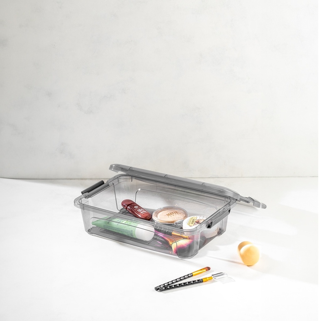 Storage Box 30x20x8cm Rectangular with Lid BNM-0179