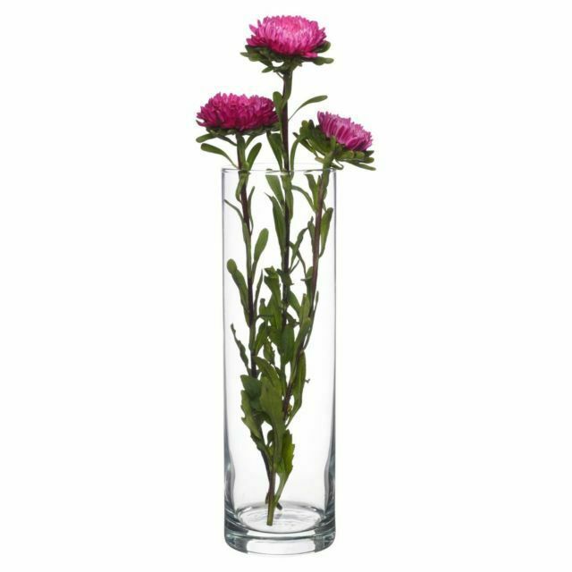 GLASS VASE 26.5CM CYLINDRICAL CLEAR BOTANICA 43767