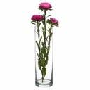 GLASS VASE 26.5CM CYLINDRICAL CLEAR BOTANICA 43767