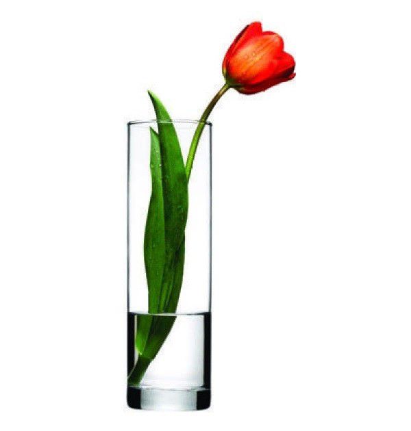 GLASS VASE 26.5CM CYLINDRICAL CLEAR BOTANICA 43767