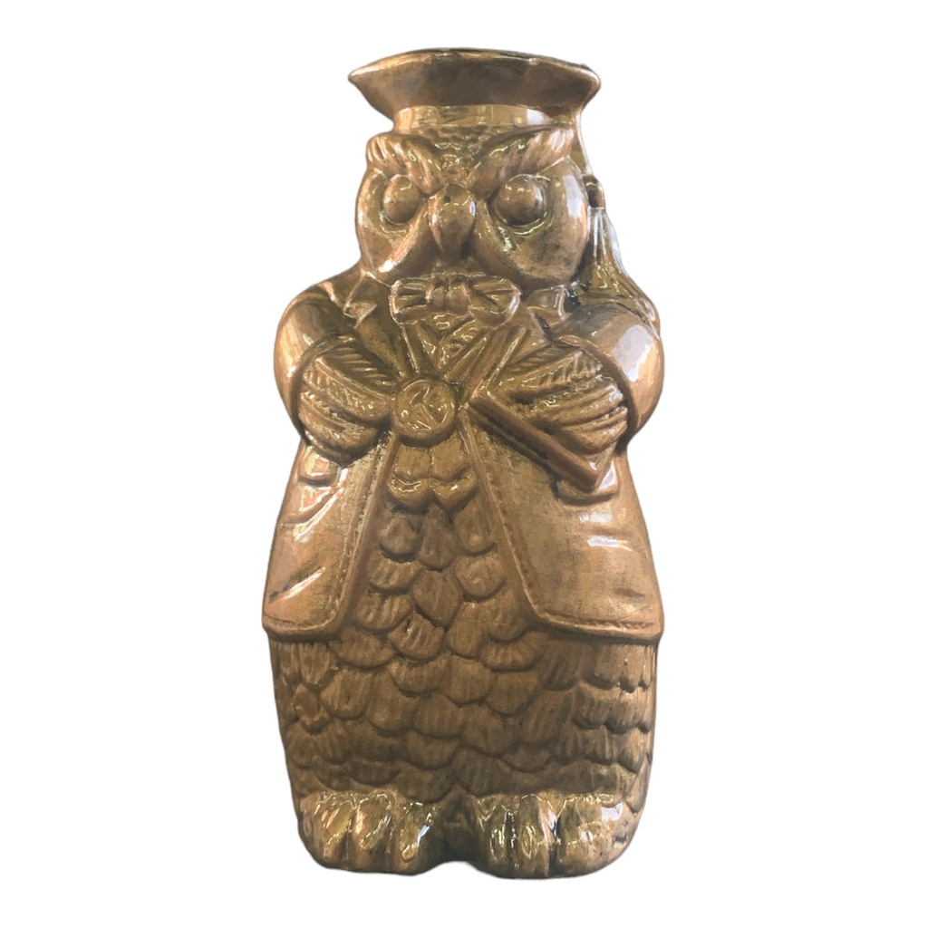 Decor Ornament 20x10x10cm Mr.Owl-Metallic