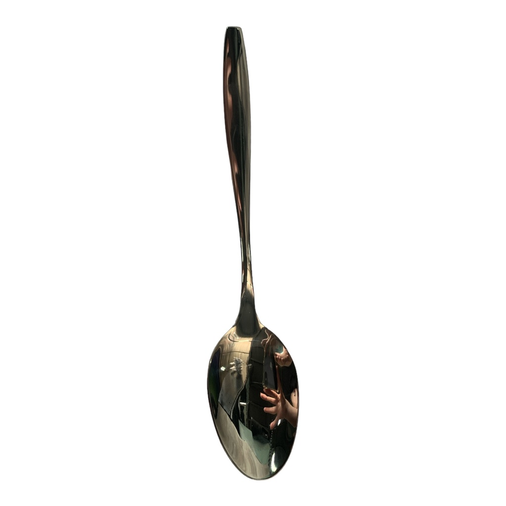 Dessert Spoon 6pc Modern Square Tip Handle SYDS-060