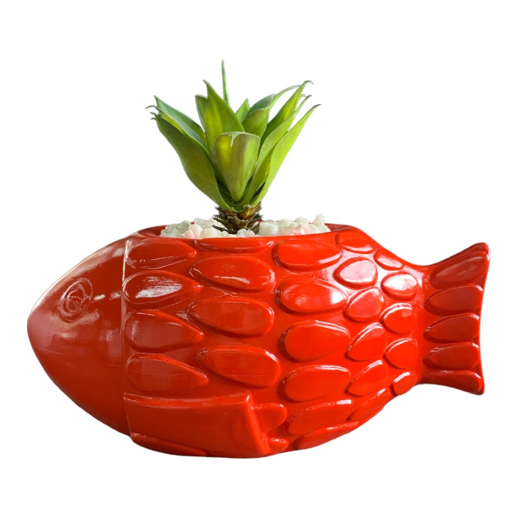 Decor Fish Planter 25.5x28cm With Plant-Base