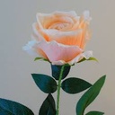 Artificial 68cm Rose Flower Stick Ass Color H-752