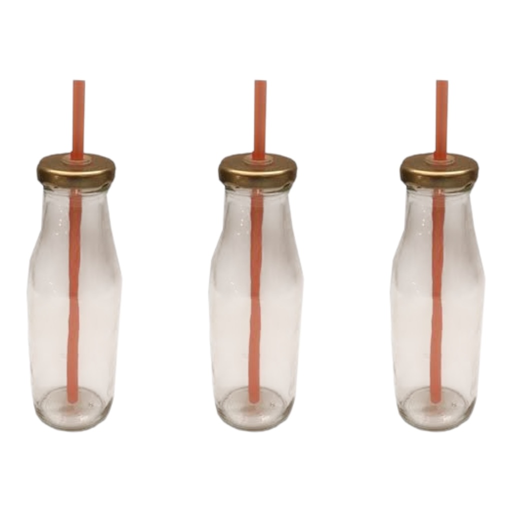 Bottle with Straw 3pc Combo 300ml Monica JAR101