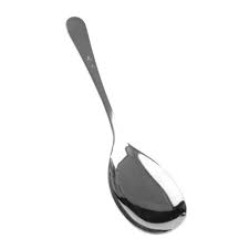 Serving Spoon 25Cm/10Inch W/Hole