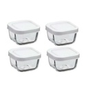 Snowbox 4pc 275ml 9x9x5.5cm Glass Container With Lid 53223