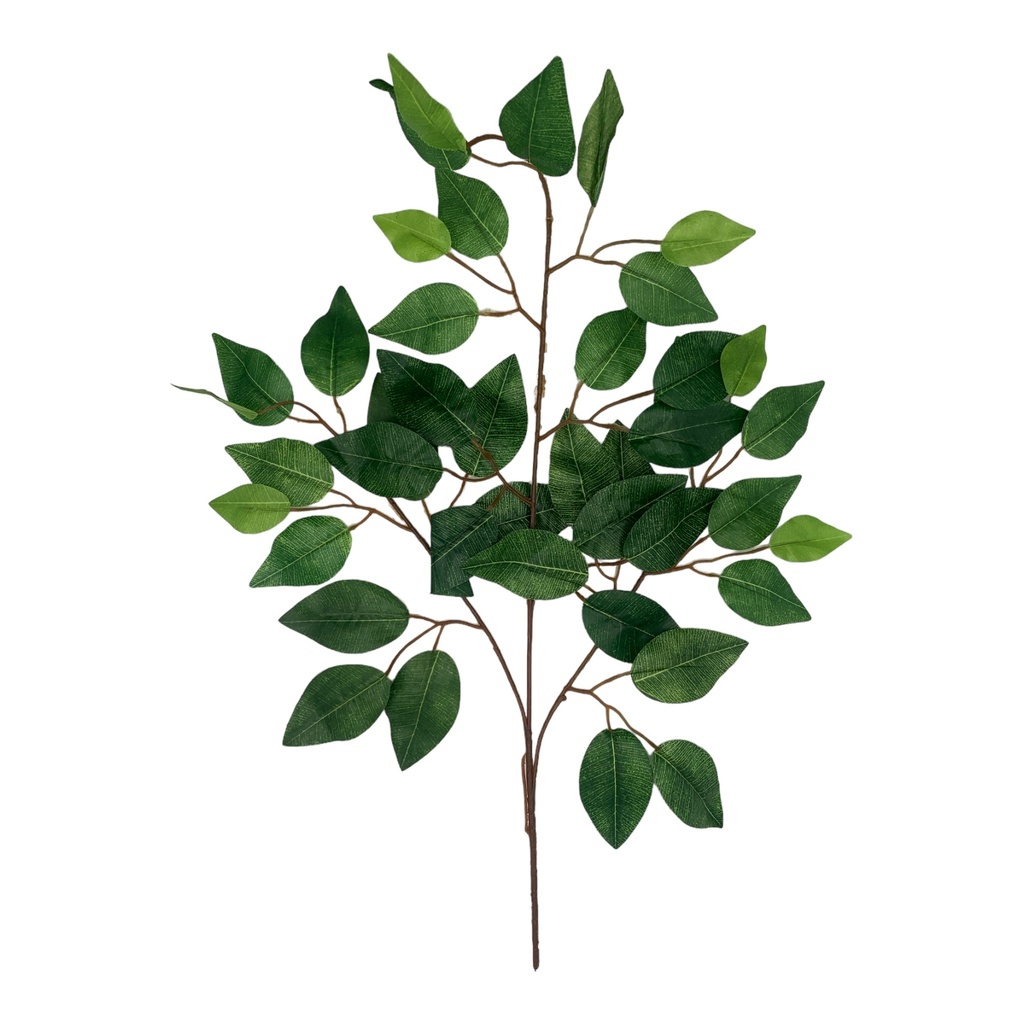 Greenery 65Cm Epigaea Repens Stem With Leaves