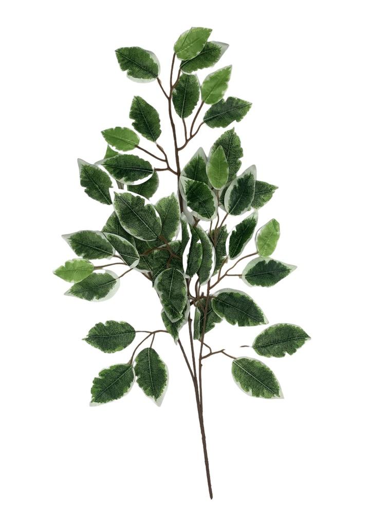 Greenery 65Cm Aristolochia Clematities Stem With Leaves