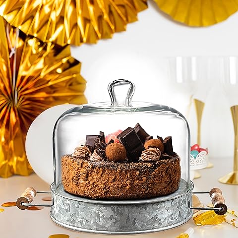 Acrylic Cake Plate And Dome 36X26Cm Oval Rvt2019-115