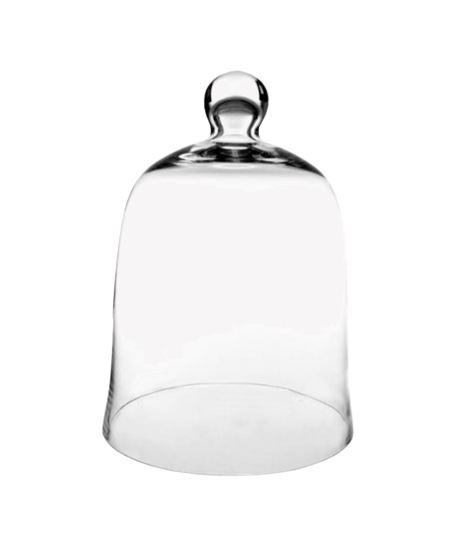 Cloche Glass 25.5x33.5cm Bell Clear Mv1184