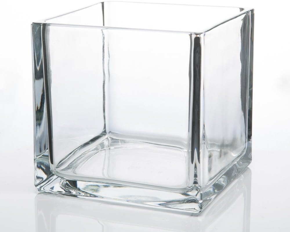 Glass Vase 10x10x10cm Square VAS1010FG