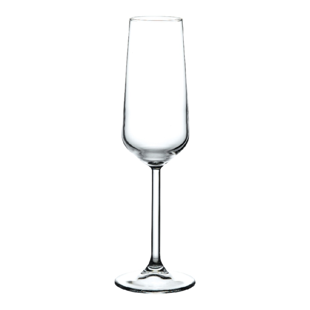 Champagne Glass 195ml Allegra 440079