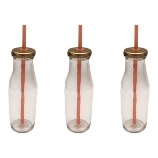 [AD25963] Bottle with Straw 3pc Combo 300ml Monica JAR101