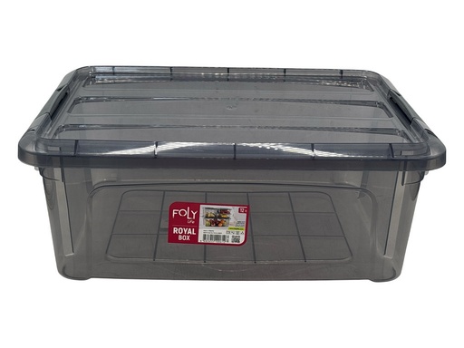 Storage Box 40x30x15cm Rectangular with Lid BNM-0612