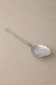 [CT720] Serving Spoon 23Cm Metro Plain