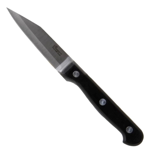 [CT676] Knife Paring – 8cm Blade (185x20mm) Regent - 21119