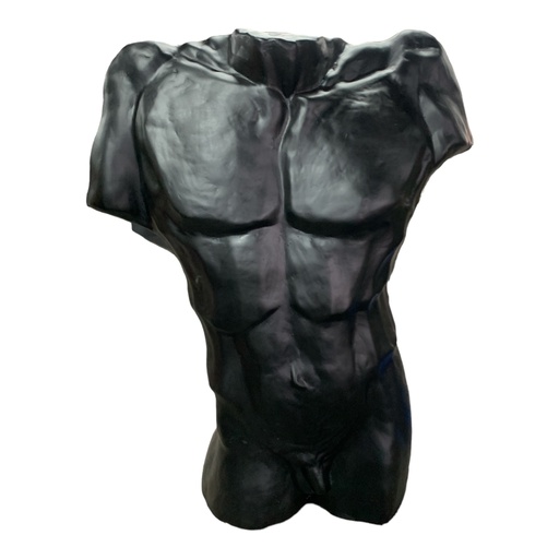 [AD05189] Decor Ornament AC 65x56cm Male Torso-Base