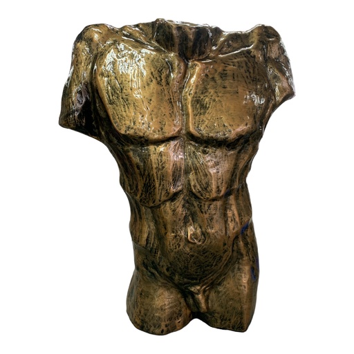 [AD05190] Decor Ornament AC 65x56cm Male Torso-Metallic