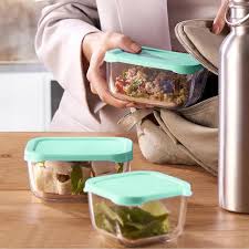 [AD09491] Bowl Snowbox Ass Color with lid